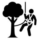 Arborist Fall Protection | Protecton