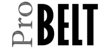 Probelt