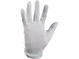 CXS Mawa Cotton glove white - Aluskäsineet - 3310-002-100 - 2