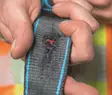 ZARGES Salvex Sininen Turvavaljas - Turvavaljaat - 47800 - 8