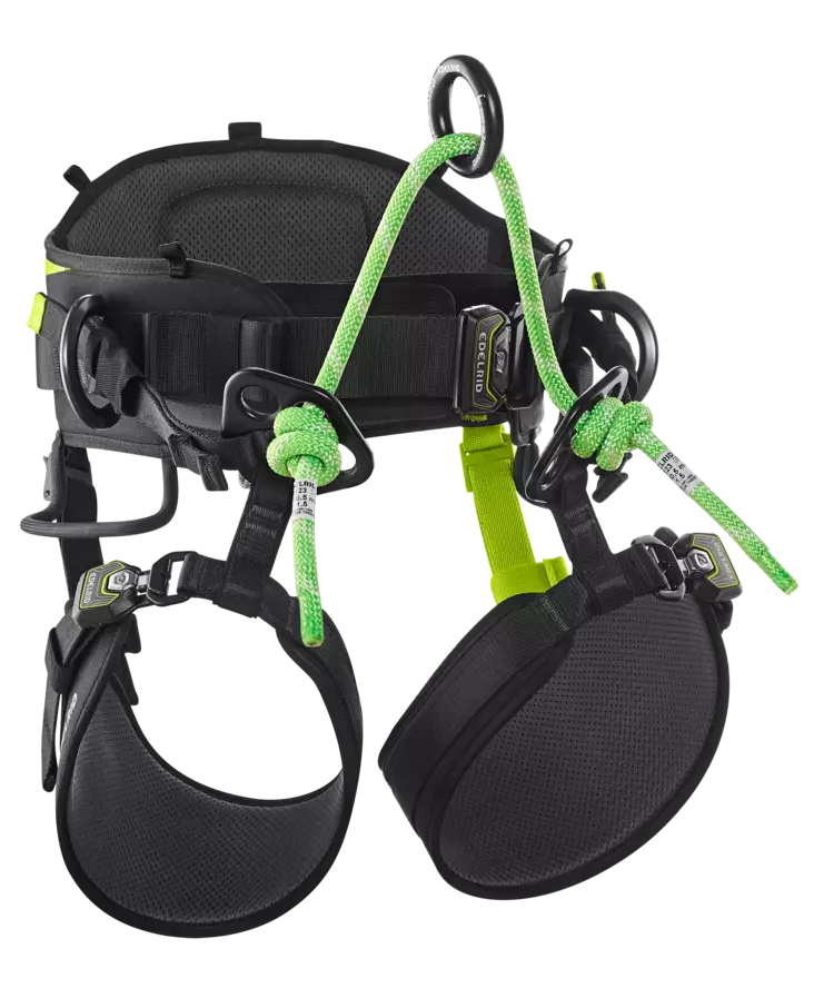 Edelrid TreeRaptor arborist harness - Arborist Fall Protection | Protecton - 8202401 - 1