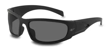 Pegaso Polarcrom polarised safety sunglasses black - Eye protection - 121.05 - 1