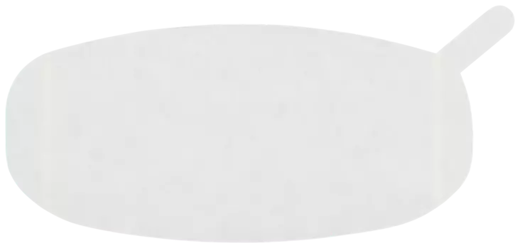 Visor Safety Promask 5012698 10 pcs - Powered air purifying respirator - 5012698 - 1