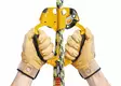 Petzl ASCENTREE Climbing handle - Arborist Fall Protection | Protecton - B19AAA - 2