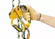 Petzl ASCENTREE Climbing handle - Arborist Fall Protection | Protecton - B19AAA - 3