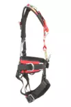 Probelt P-71mXR M-XL Rescue Harness - Turvavaljaat - P-71mXR - 3