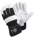 SG 70W Talvipukinnahkakäsine teddy-vuori - Talvityökäsineet - SG70W - 1